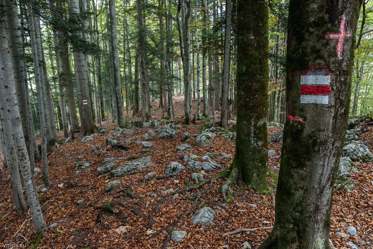 bregenzerwald-148
