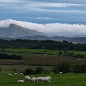 Conwy-100