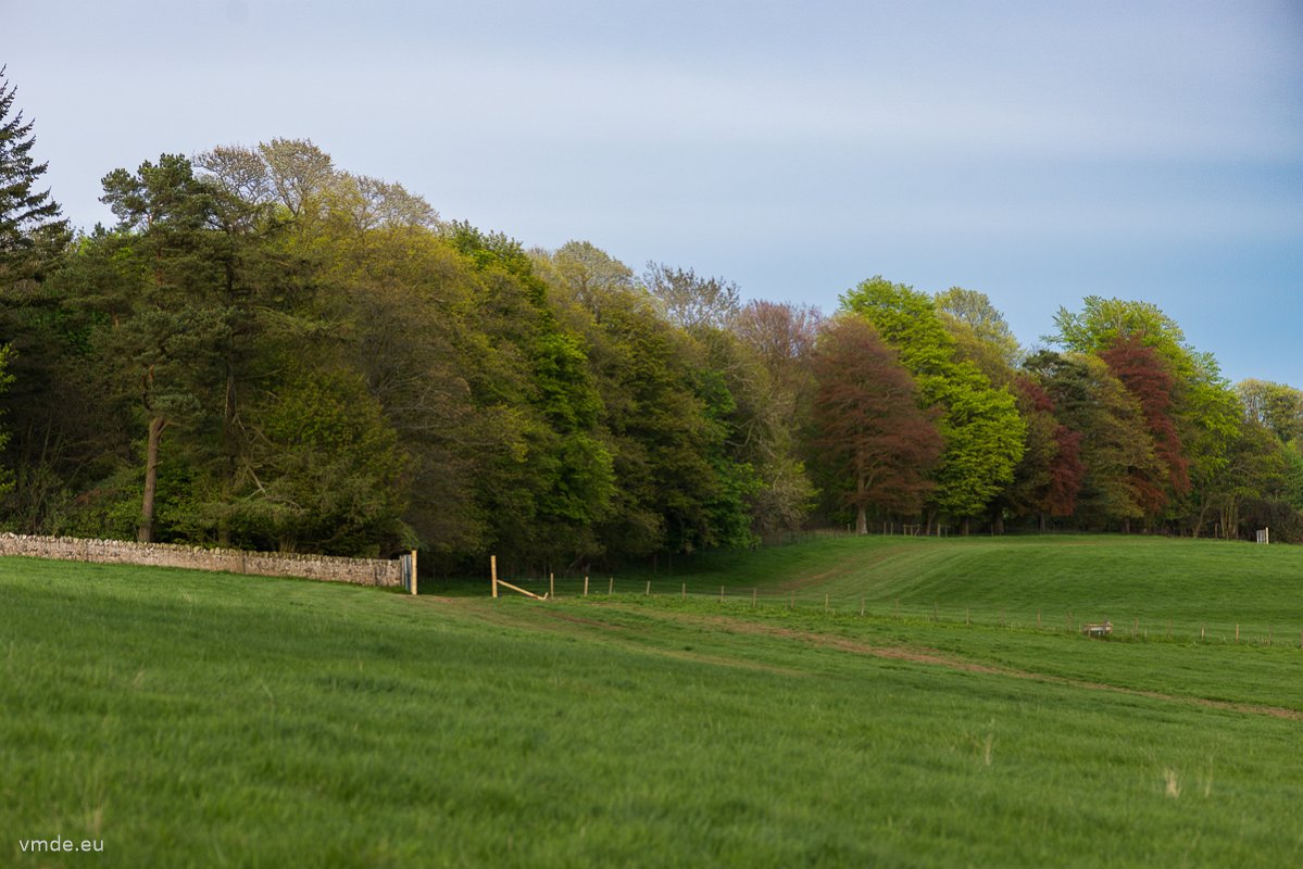 Fife-106