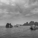 Halong-105