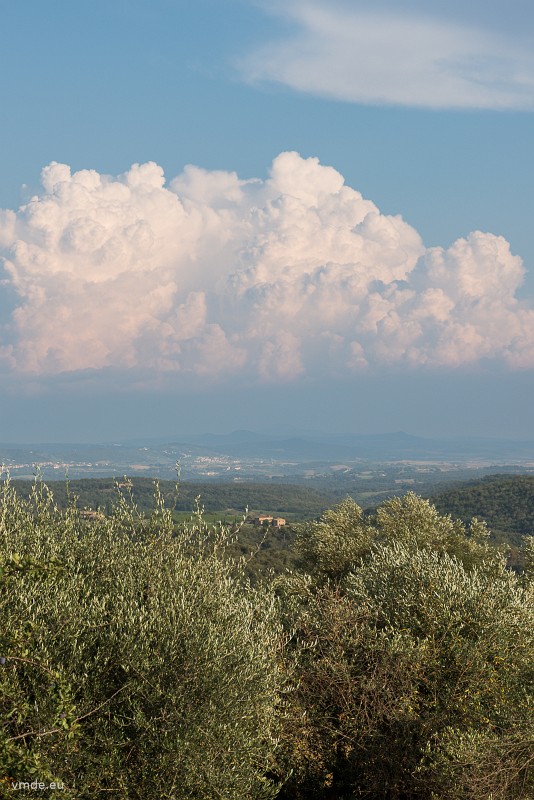 Chianti-144