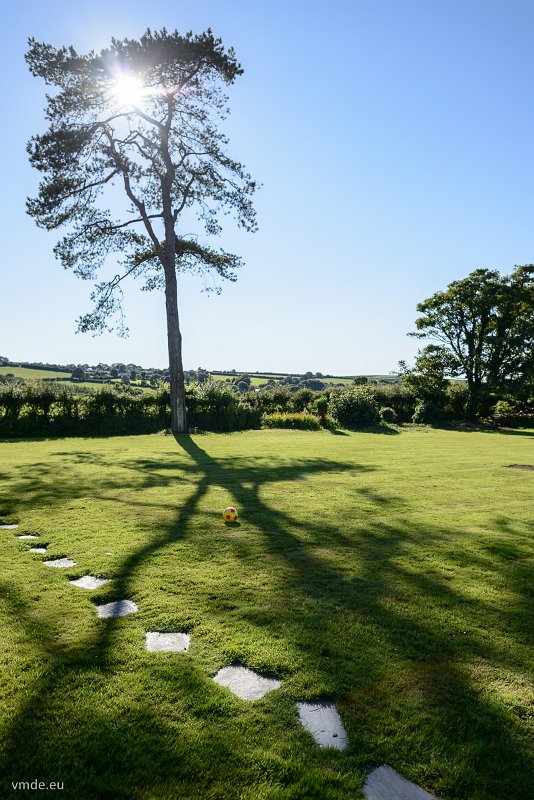Moylgrove-101