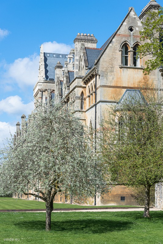 Oxford-107