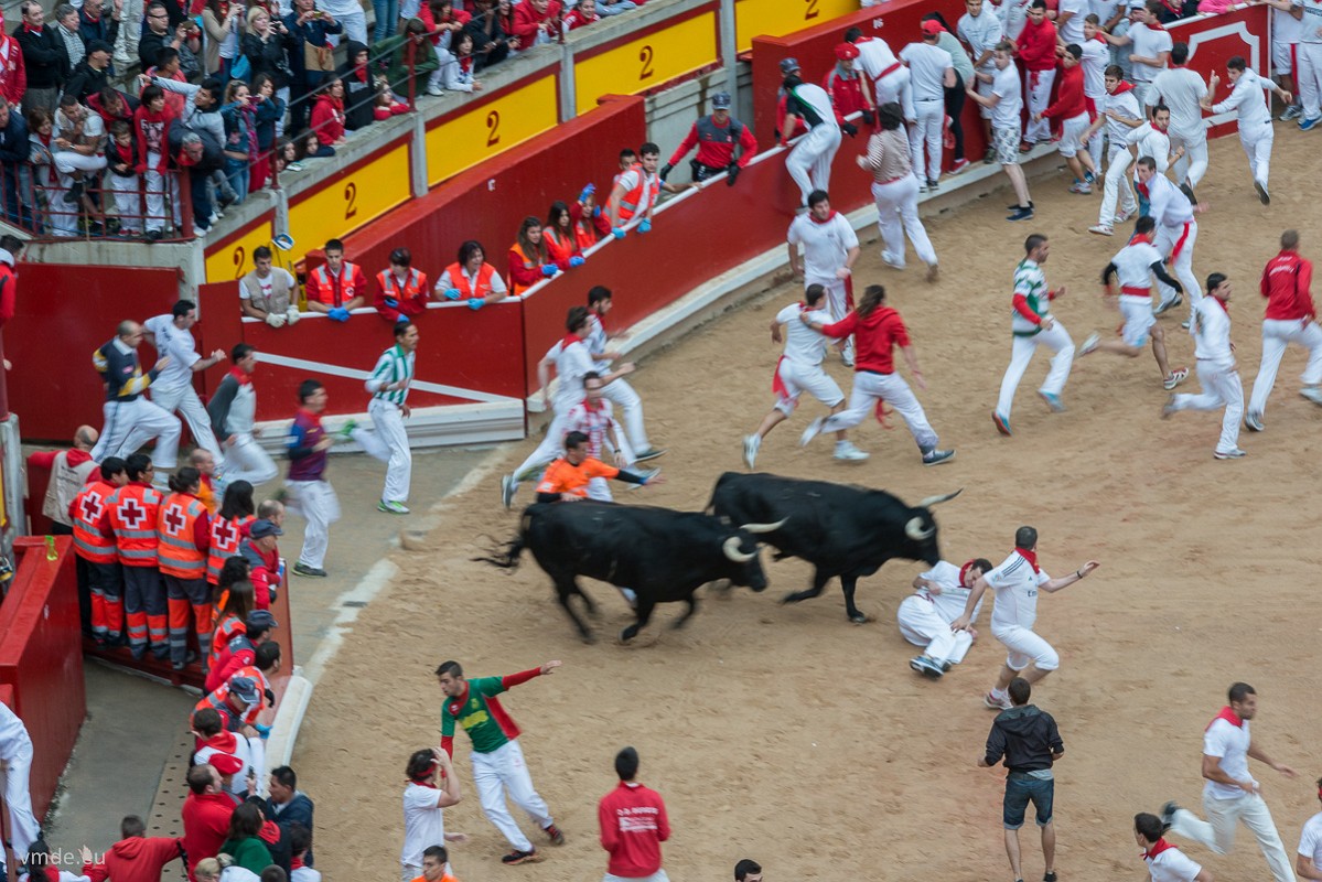 Pamplona-100