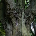 WaddesdonManor-113